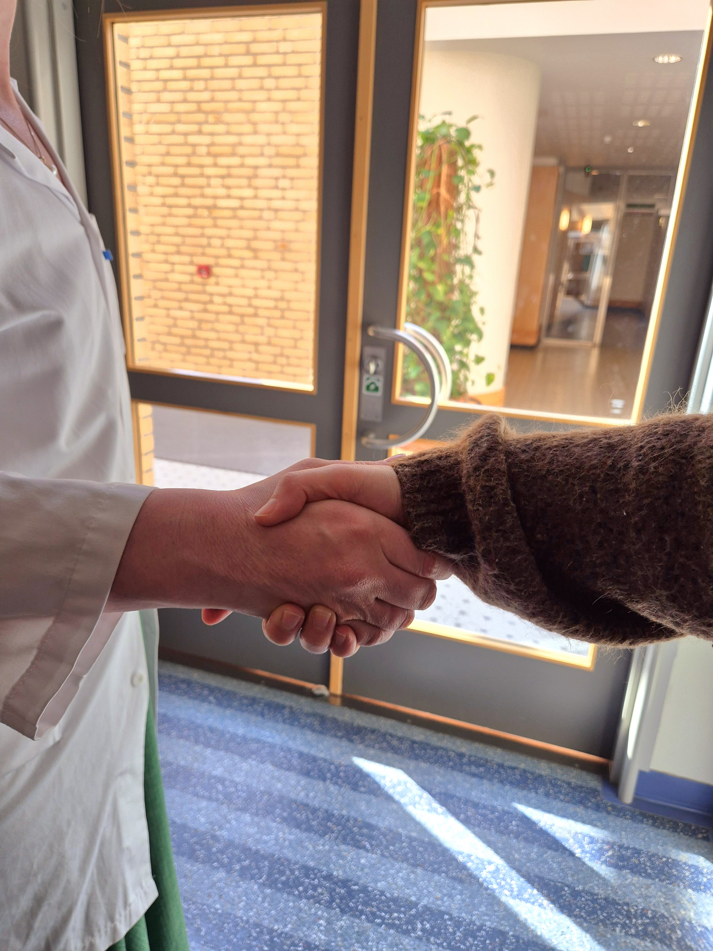 To personer h&aring;ndhilser