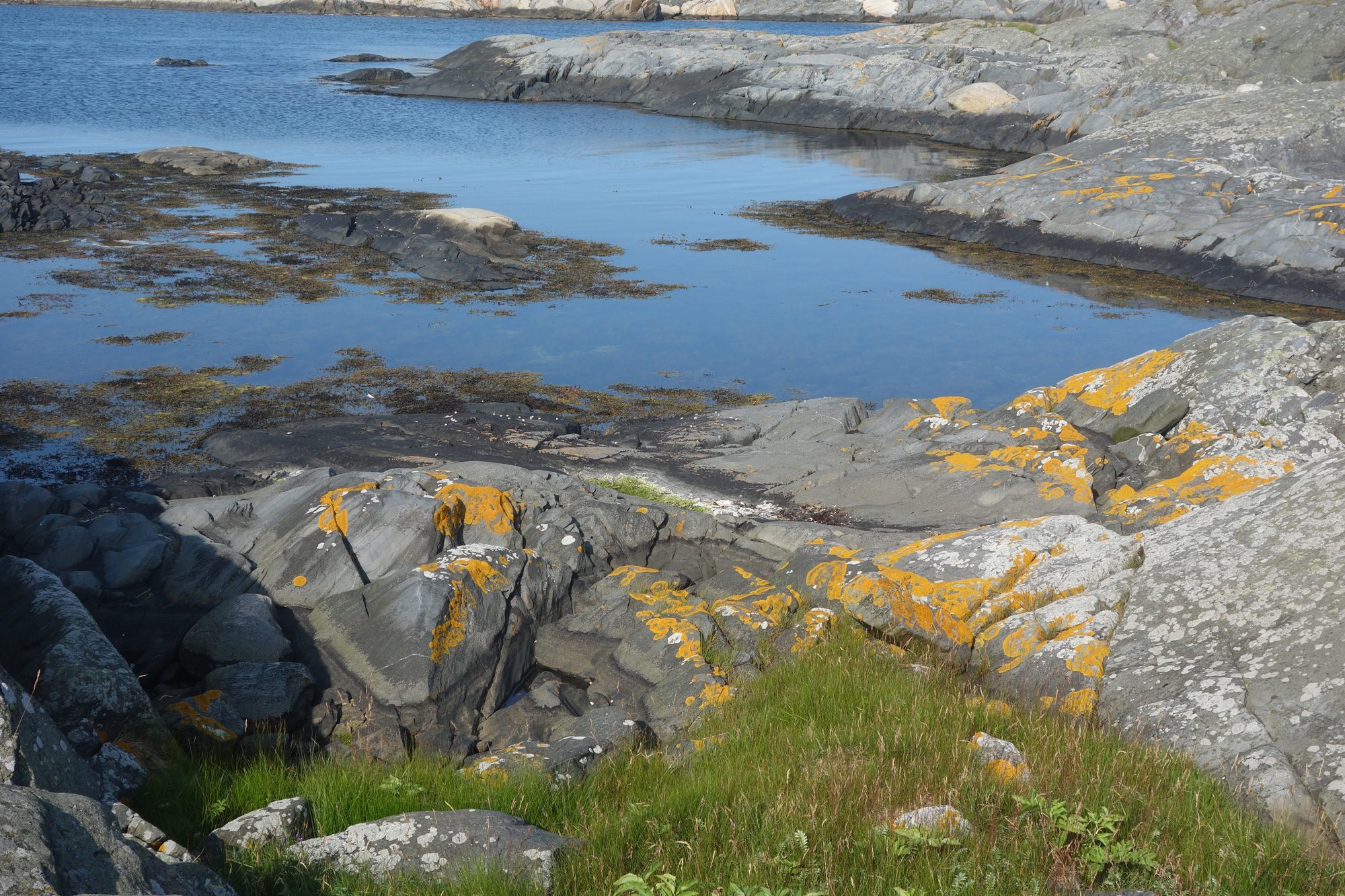 En steinete strand med vann