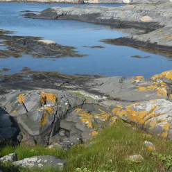 En steinete strand med vann