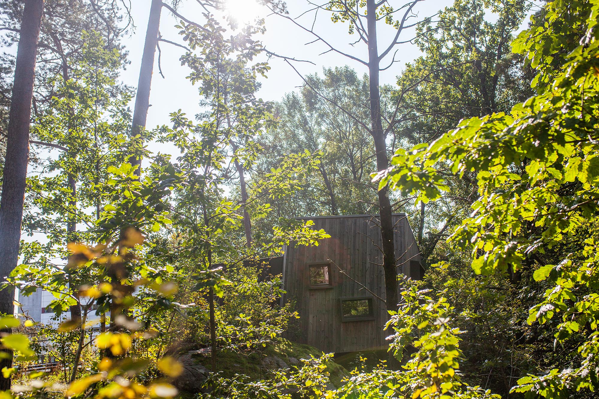 Friluftssykehuset ligger omkranset av naturen i n&aelig;rheten av sykehuset i Kristiansand.