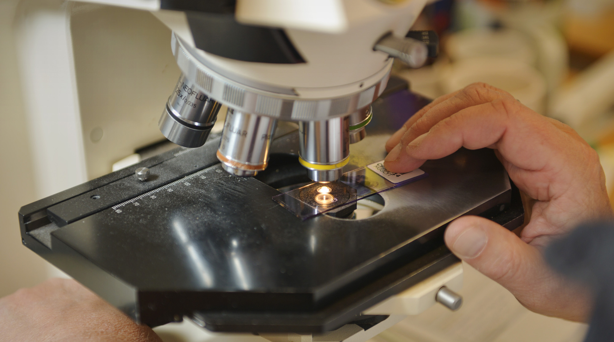En person som bruker et mikroskop