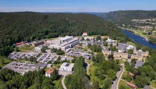 En by omgitt av trær og en elv